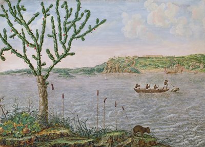 Vista del Fuerte Maurice en el Río San Francisco de Frans Post